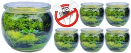 zestaw-6-swiec-citronella-odstraszajacych-owady-i-komary-do-relaksu