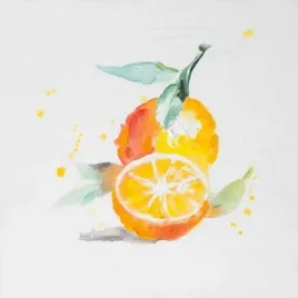 obraz-30x30-eurofirany-fruit-03-cytryny