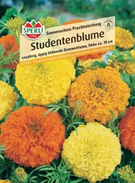 aksamitka-sonnenschein-prachtmischung-sperli