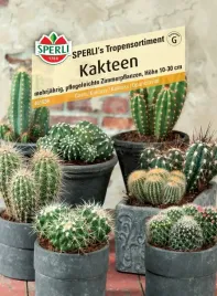 kaktusy-sperli-s-tropensortiment-premium-sperli