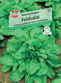 roszponka-warzywna-verte-de-cambrai-premium-sperli