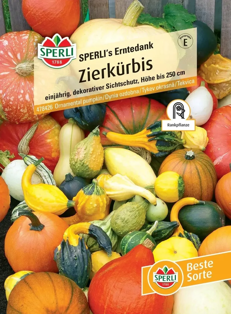 dynia-ozdobna-sperli-s-erntedank-premium-sperli