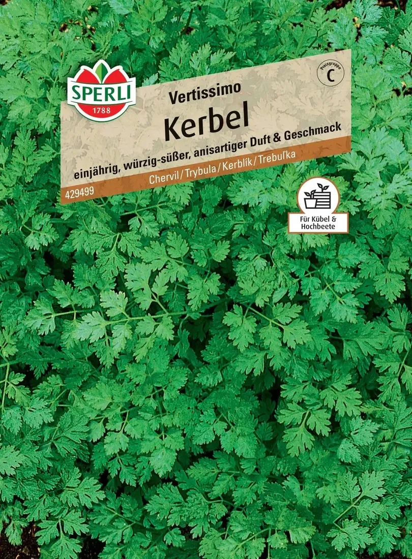 trybula-vertissimo-nasiona-premium-sperli