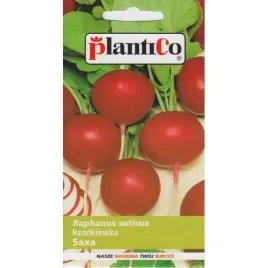 rzodkiewka-wczesna-saxa-plenna-nasiona-warzyw-10g