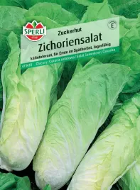 cykoria-salatowa-zuckerhut-nasiona-premium-sperl