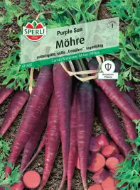 marchew-purple-sun-f1-nasiona-premium-sperli