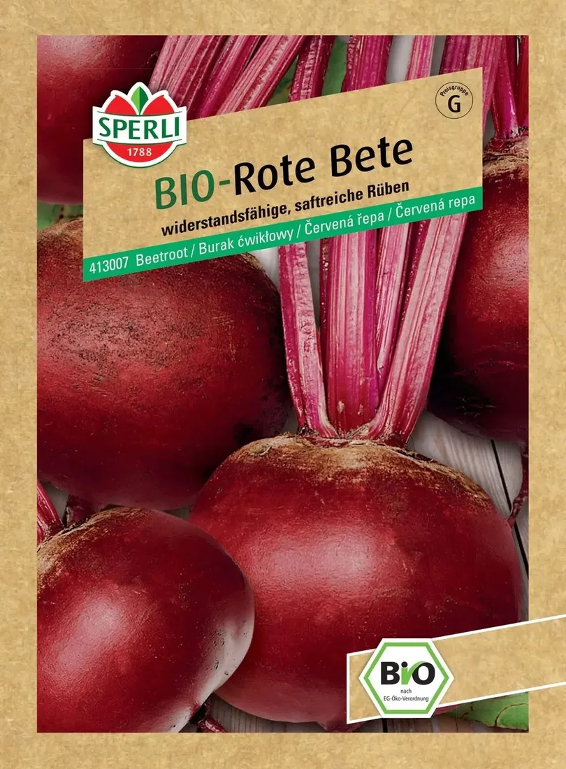burak-cwiklowy-rote-kugel-2sturoman-premium-sperli