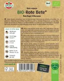 burak-cwiklowy-rote-kugel-2sturoman-premium-sperli-rodzaj-rosliny-burak