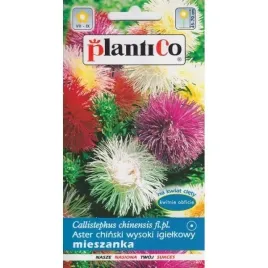 aster-chinski-wysoki-igielkowy-mix