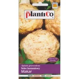 seler-korzeniowy-makar