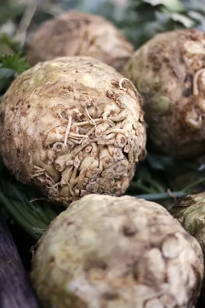 seler-korzeniowy-makar-waga-z-opakowaniem-0-01-kg