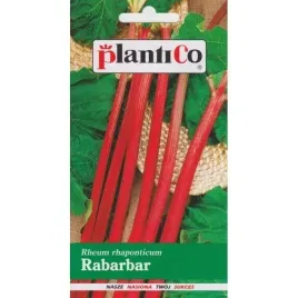 rabarbar-lider-nasiona-plenny-dobrze-zimujacy-05g