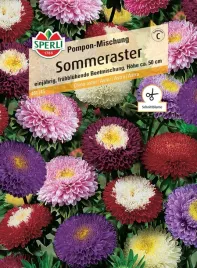 aster-pompon-mischung-nasiona-premium-sperli