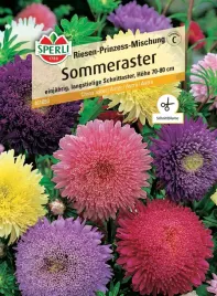 aster-riesen-prinzess-mischung-premium-sperli