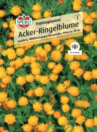 nagietek-polny-fruhlingssonne-premium-sperli