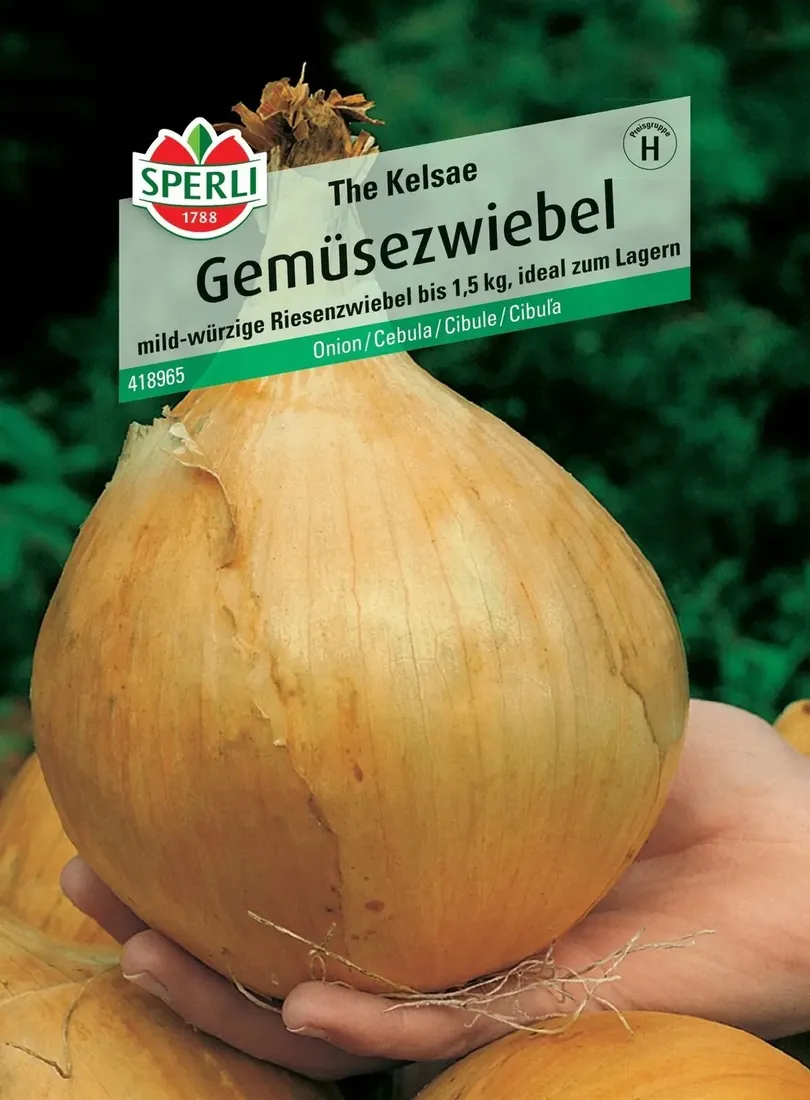 cebula-the-kelsae-nasiona-premium-sperli