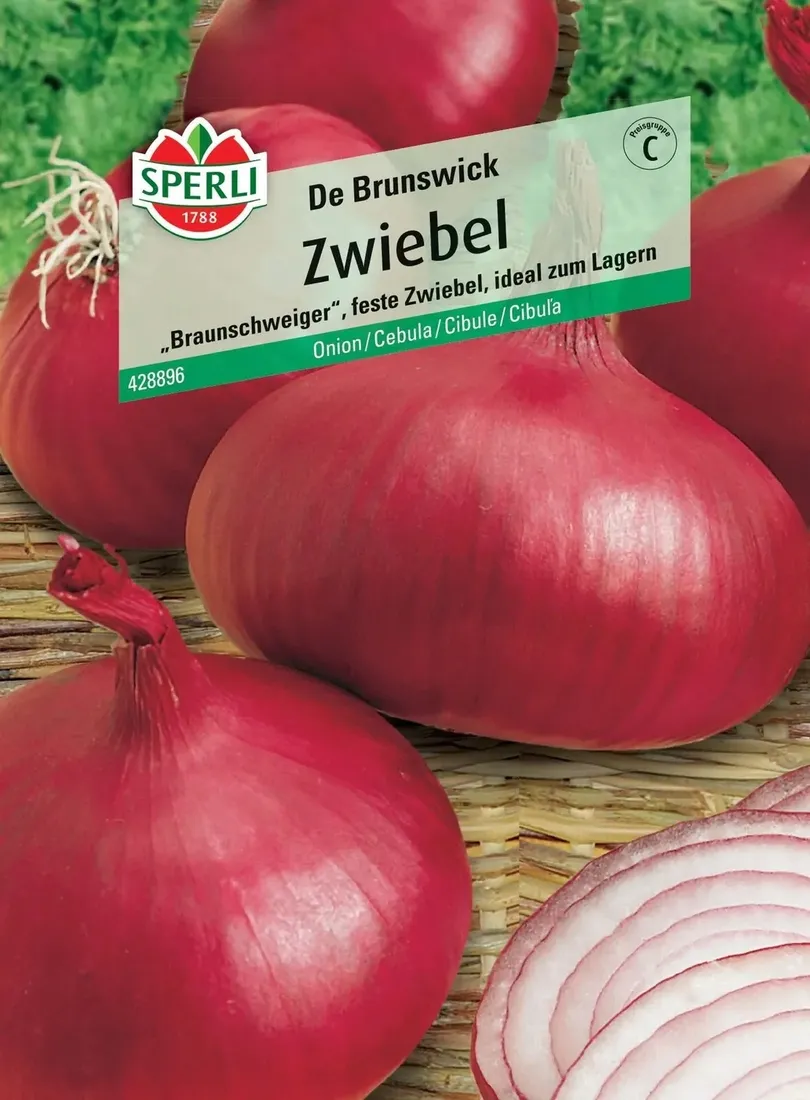 cebula-de-brunswick-nasiona-premium-sperli