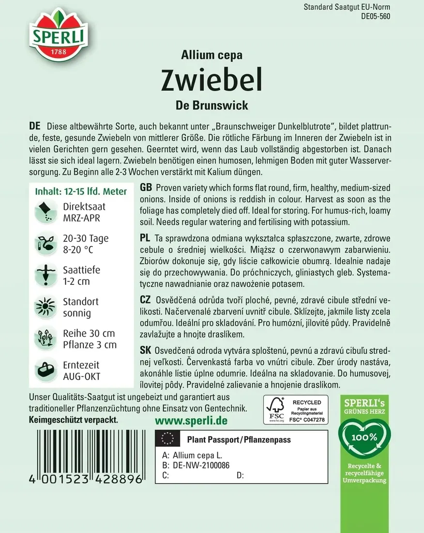 cebula-de-brunswick-nasiona-premium-sperli-rodzaj-rosliny-cebula
