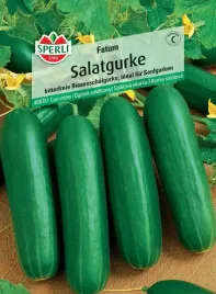 ogorek-salatkowy-fatum-f1-nasiona-premium-sperli