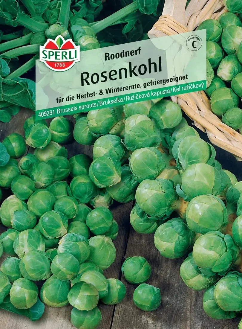 brukselka-roodnerf-nasiona-premium-sperli