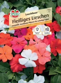 niecierpek-waleriana-leuchtfeuer-premium-sperli