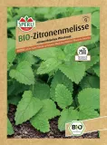 melisa-cytrynowa-nasiona-premium-sperli