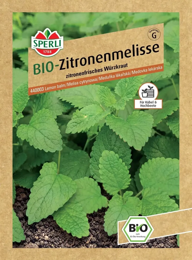 melisa-cytrynowa-nasiona-premium-sperli