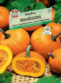 dynia-baby-bear-nasiona-premium-sperli