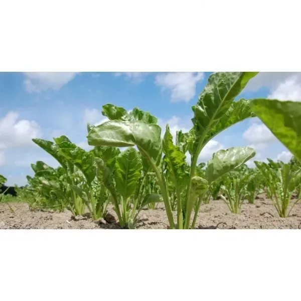 yara-mila-complex-nawoz-hydrocomplex-25kg-stan-nowy-okres-stosowania-caly-rok