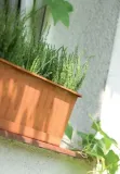 skrzynia-agro-60cm-braz-prosperplast-stan-nowy