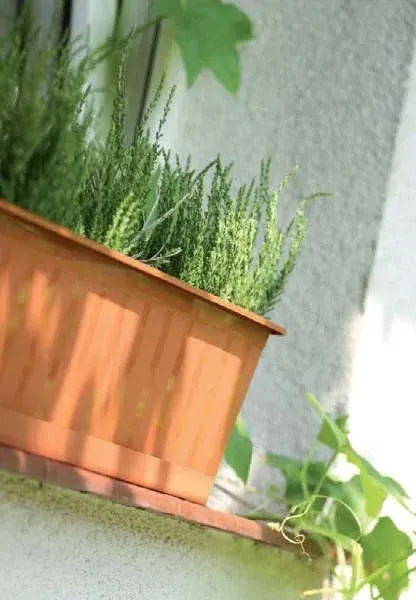 skrzynia-agro-60cm-braz-prosperplast