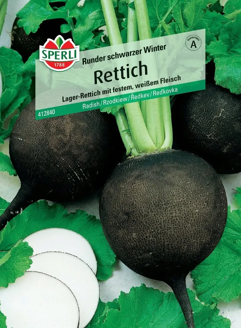 rzodkiew-runder-schwarzer-winter-premium-sperli