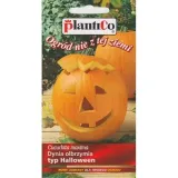 dynia-olbrzymia-halloween