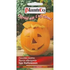 dynia-olbrzymia-halloween