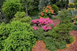 zrebki-drzewne-biovita-50-l-kolor-zolty