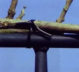 wiazanie-do-roslin-linka-gumowa-50mx3mm-exo-flora