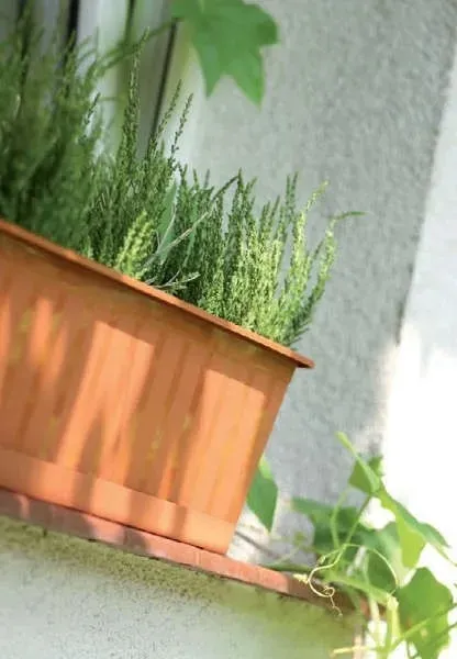 skrzynia-agro-40cm-braz-prosperplast