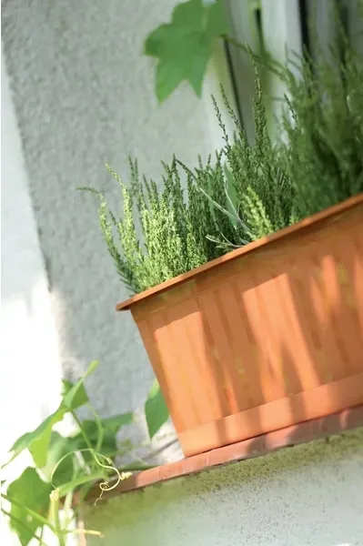 skrzynia-agro-40cm-braz-prosperplast-stan-nowy-pojemnosc-10-l