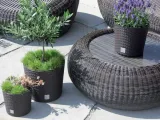 doniczka-rato-square-mocca-49l-prosperplast-rodzaj-doniczka