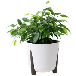 donica-na-kwiaty-modern-eco-biala