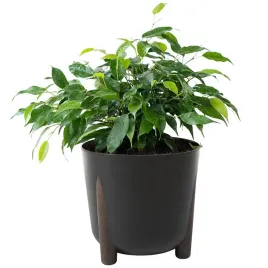 donica-na-kwiaty-modern-eco-czarna