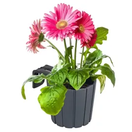 doniczka-wiszaca-na-kwiaty-boardee-antracytowa