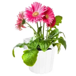 doniczka-wiszaca-na-kwiaty-boardee-biala