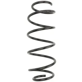 sprezyna-zawieszenia-tyl-ford-fiesta-v-mk6-01-