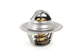 termostat-citroen-dacia-nissan-opel-renault-megane