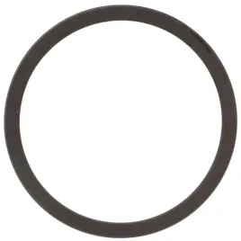 pierscien-magnetyczny-abs-peugeot-307-citroen-c4