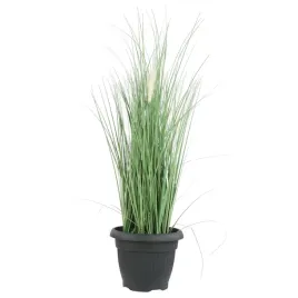donica-klasyczna-okragla-tradycyjna-antracyt-o30cm