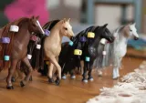 schleich-klacz-criollo-definitivo-sofias-beauties-kod-producenta-42581