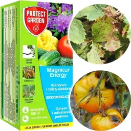 magnicur-energy-840-sl-100ml-oprysk-grzybobojczy
