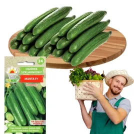 ogorek-szklarniowy-nasiona-wczesny-marta-f1